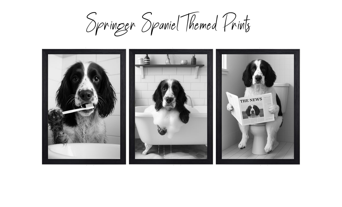 Springer Spaniel Bathroom Wall Art Prints – Funny Dog Decor l A4 or A3 l Set of 3