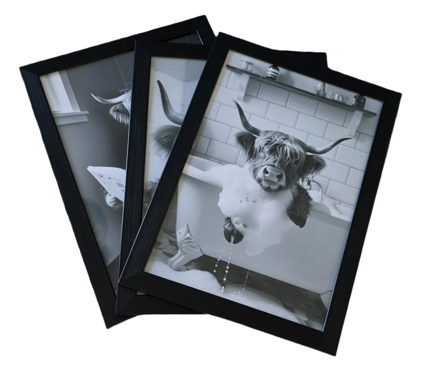 Highland Cows Gone Wild – Bathroom Edition | Set of 3 Black & White Prints