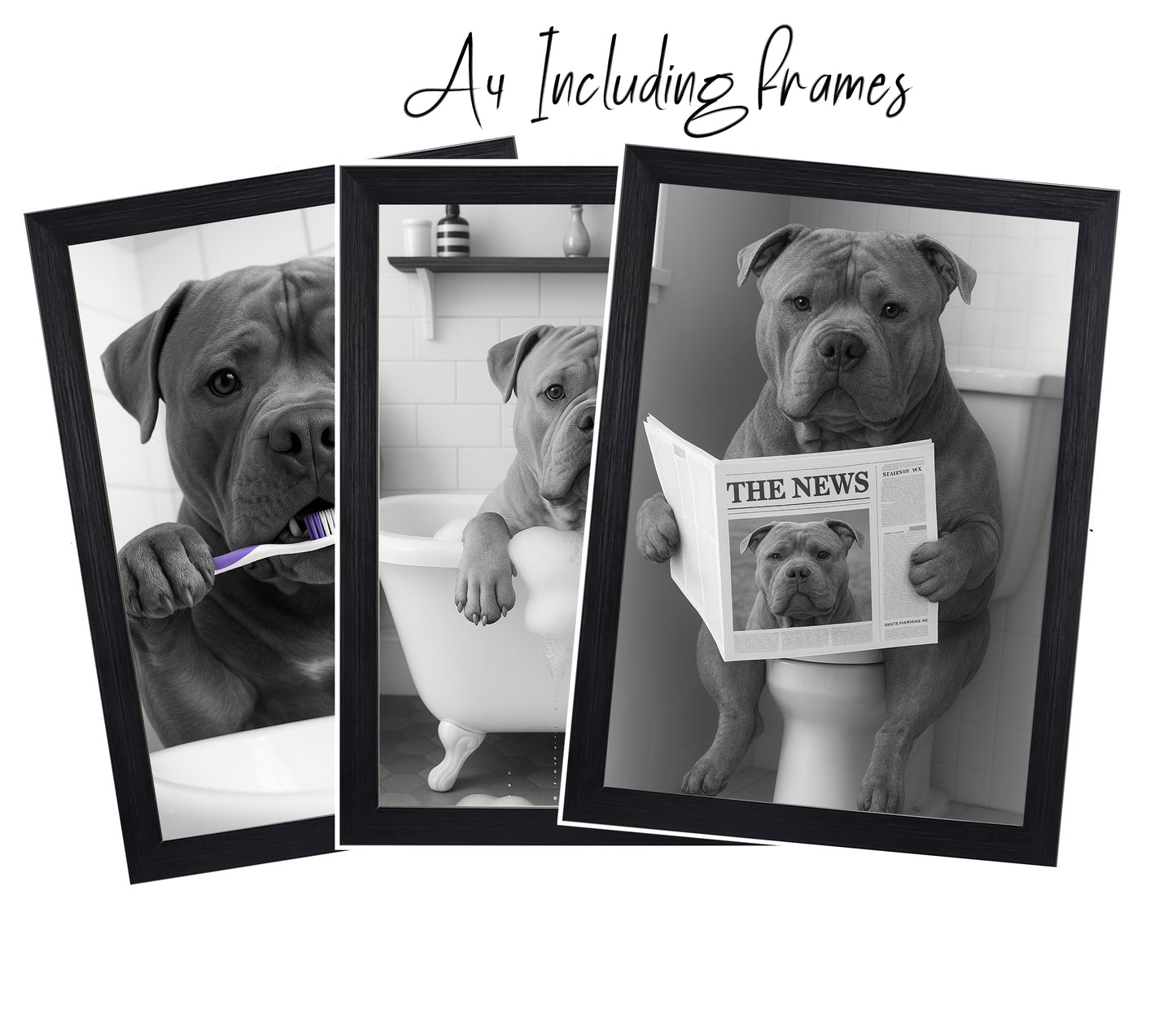 XL Bully Bathroom Wall Art Prints – Funny Dog Bathroom Decor (A4 & A3 Sizes) (Copy)