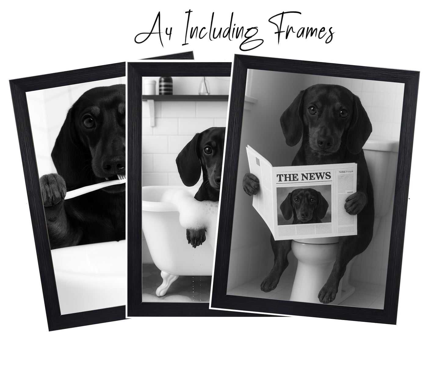 Dachshund Bathroom Themed Wall Art – Funny Dog Prints (A4 & A3)