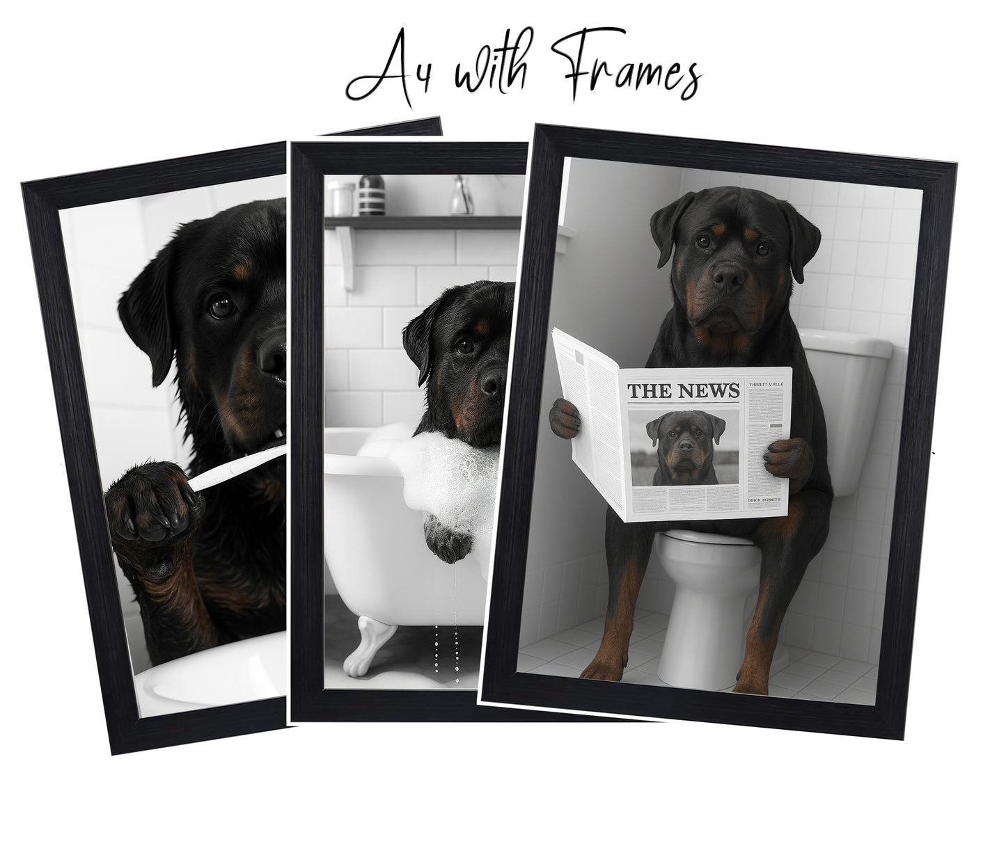 Rottweiler Bathroom Wall Art Set | Funny Dog Prints (A4 & A3 Options)