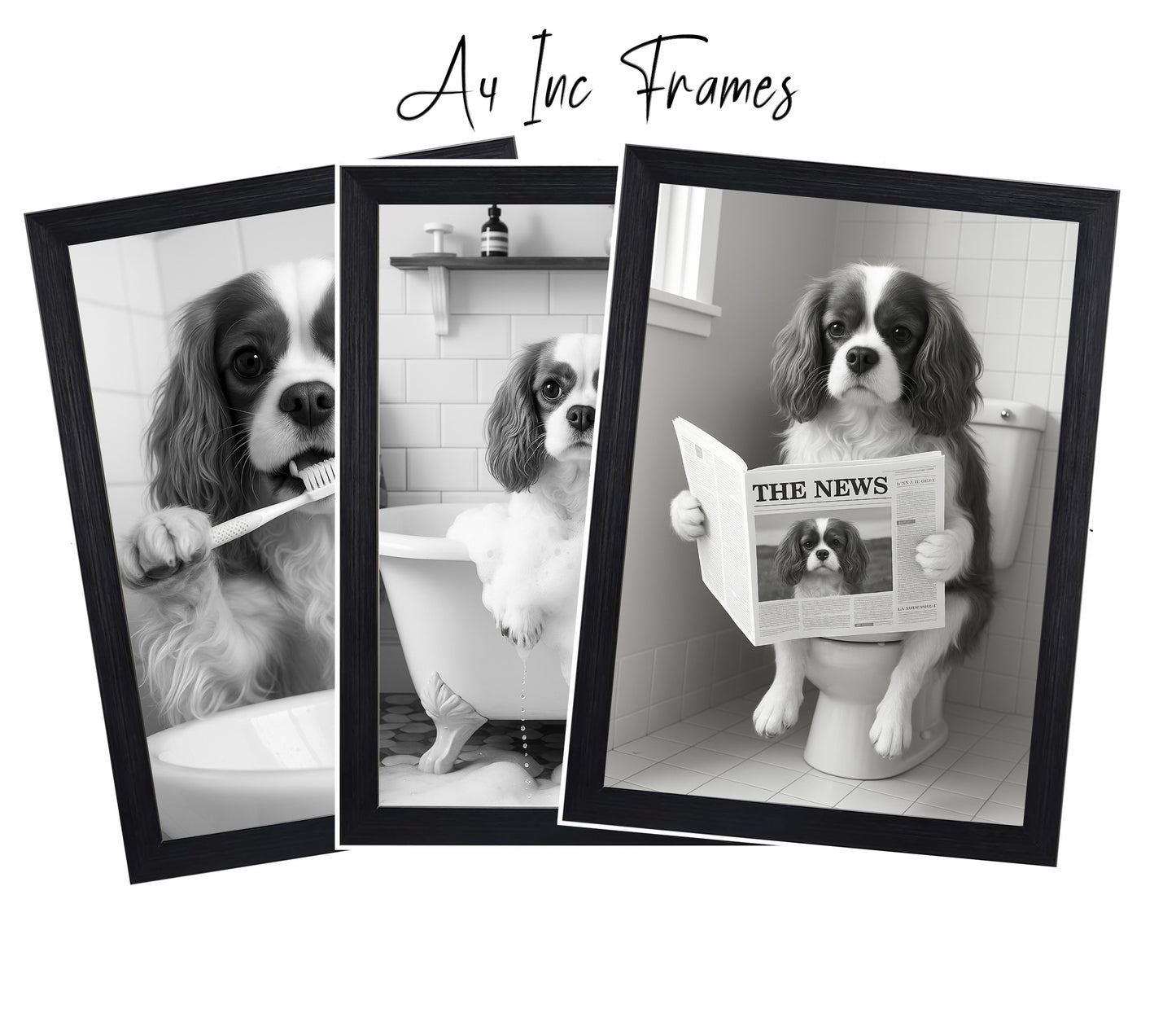 Cavalier King Charles Bathroom Wall Art Prints – Funny Dog Decor l A4 or A3 l Set of 3
