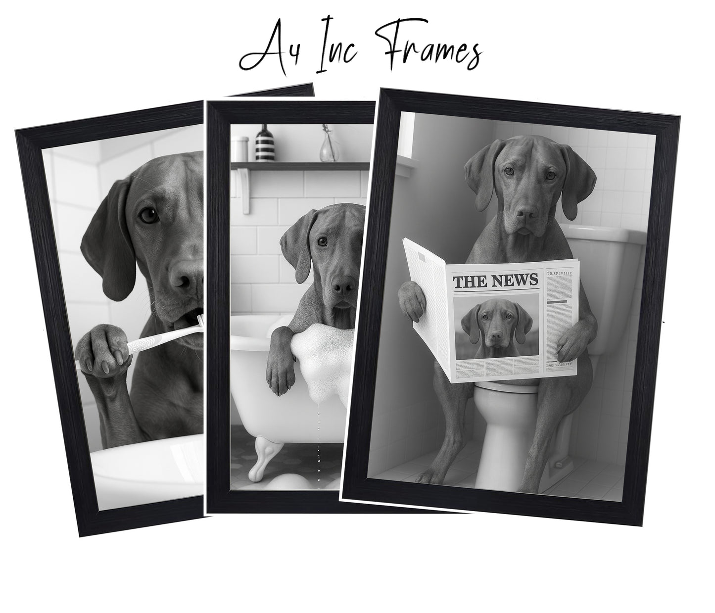 Vizsla Bathroom Wall Art Prints – Funny Dog Decor A4 or A3 Set of 3