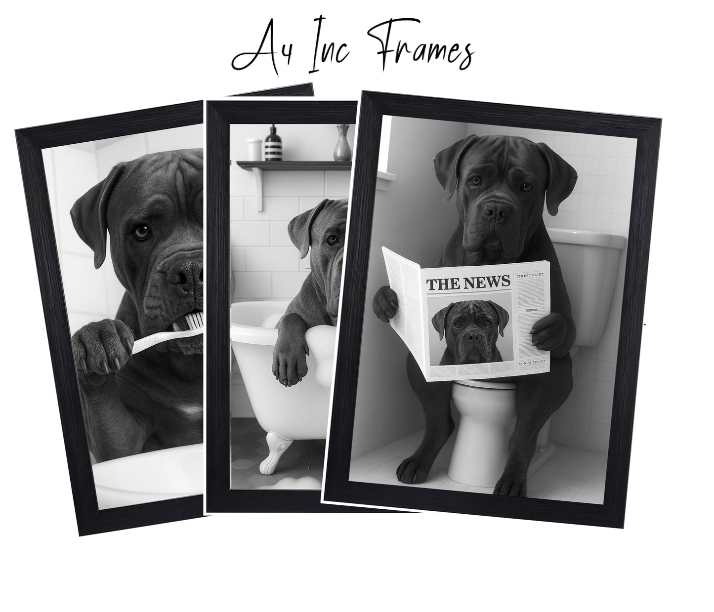 Cane Corso Bathroom Wall Art Prints – Funny Dog Decor l A4 or A3 l Set of 3