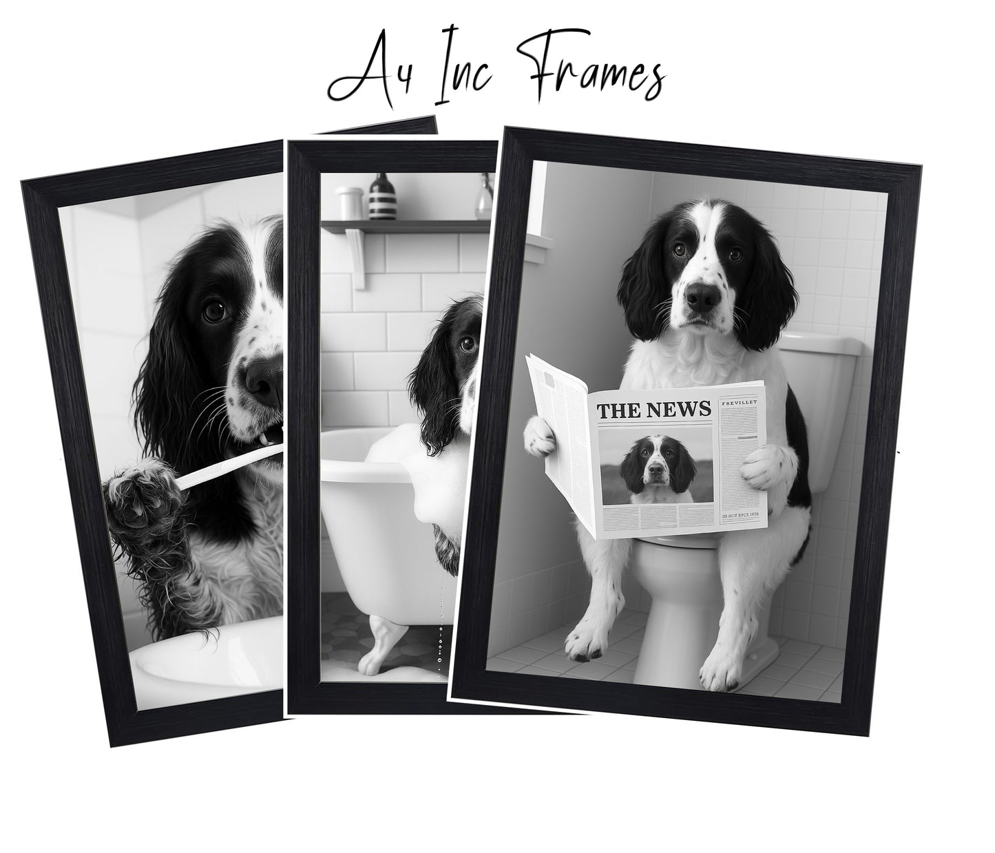 Springer Spaniel Bathroom Wall Art Prints – Funny Dog Decor l A4 or A3 l Set of 3