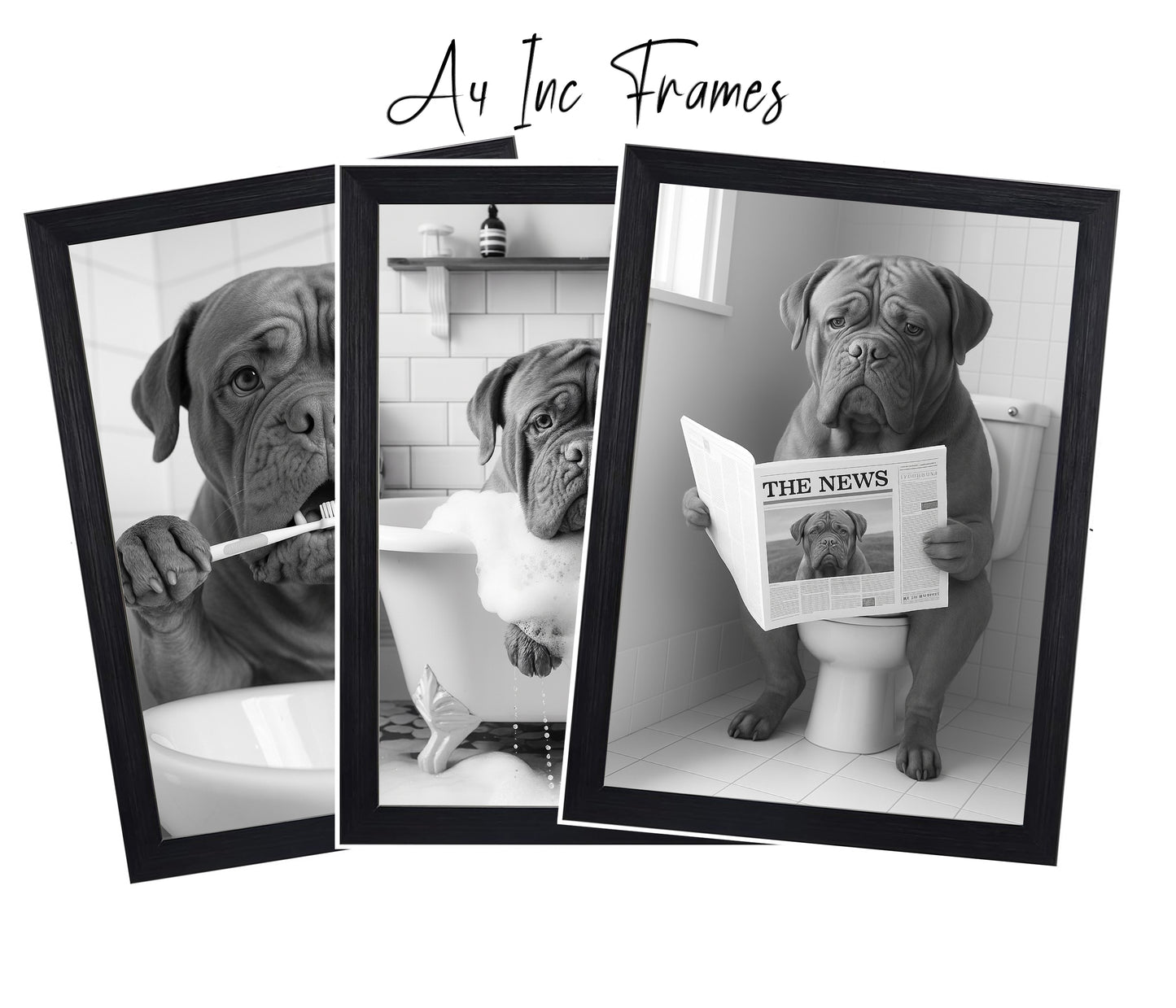 Dogue de Bordeaux Bathroom Wall Art Prints – Funny Dog Decor l A4 or A3 l Set of 3