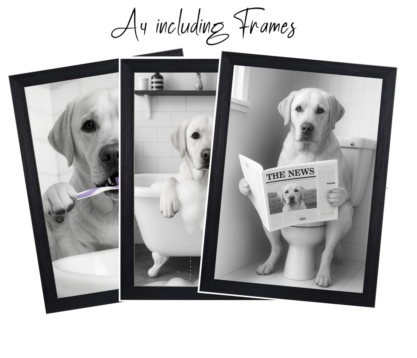 Labrador Bathroom Wall Art Prints – Funny Dog Bathroom Decor (A4 & A3 Sizes)