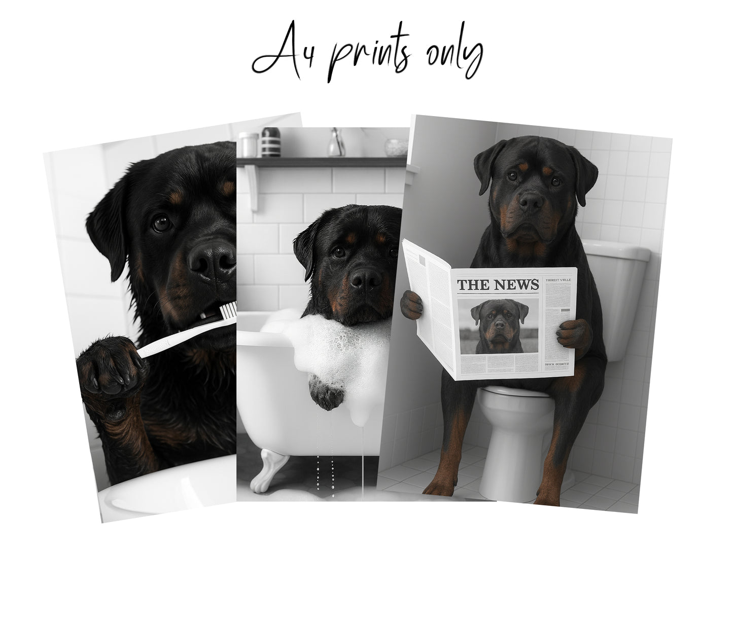 Rottweiler Bathroom Wall Art Set | Funny Dog Prints (A4 & A3 Options)