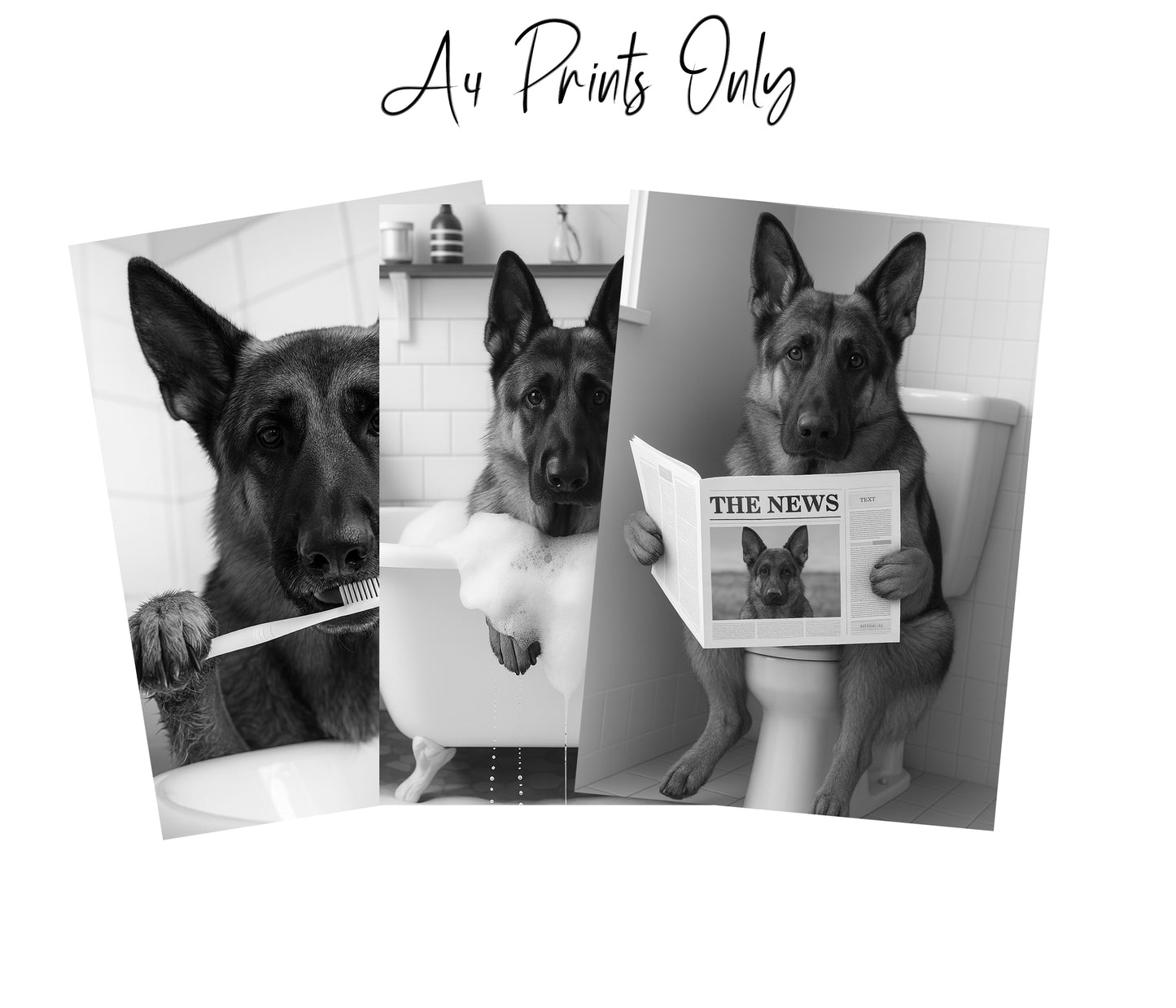 German Shepherd Bathroom Wall Art Prints – Funny Dog Decor l A4 or A3 l Set of 3