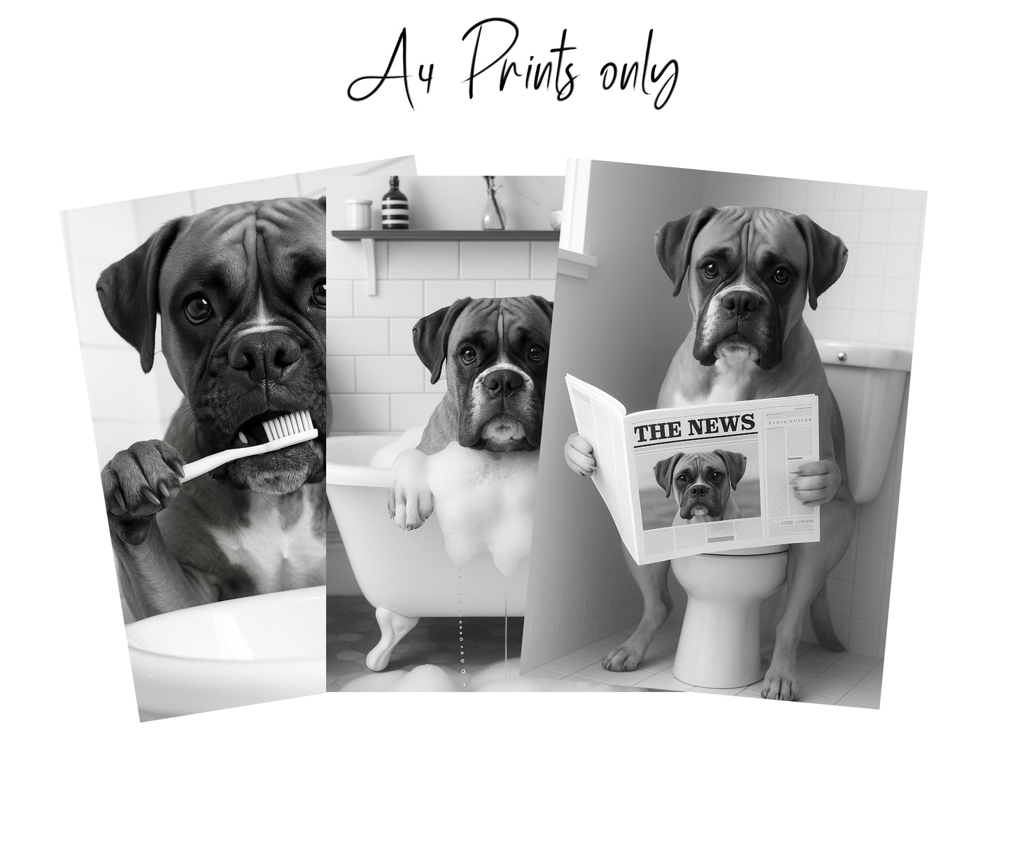 Boxer Dog Bathroom Wall Art Prints – Funny Dog Bathroom Decor (A4 & A3 Sizes)
