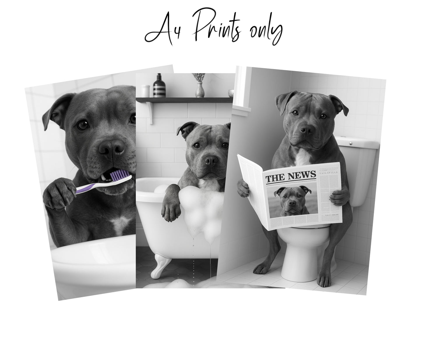 Staffy Bully Bathroom Wall Art Prints – Funny Dog Bathroom Decor (A4 & A3 Sizes)