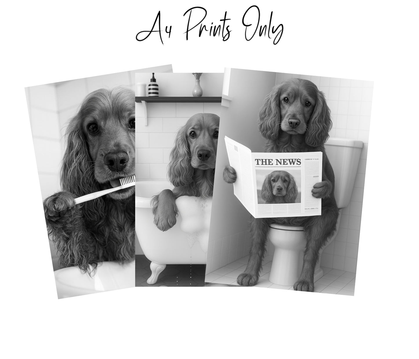 Cocker Spaniel Bathroom Wall Art Prints – Funny Dog Decor l A4 or A3 l Set of 3