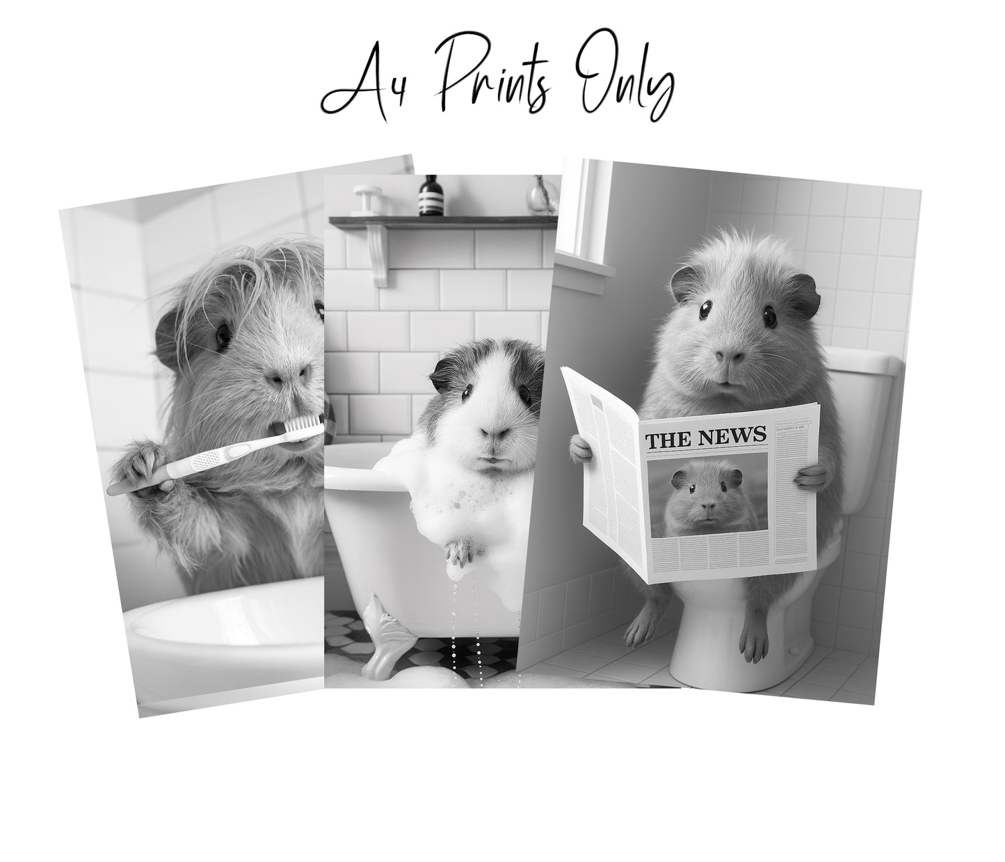 Guinea Pig Bathroom Wall Art Set – Funny Black & White Prints