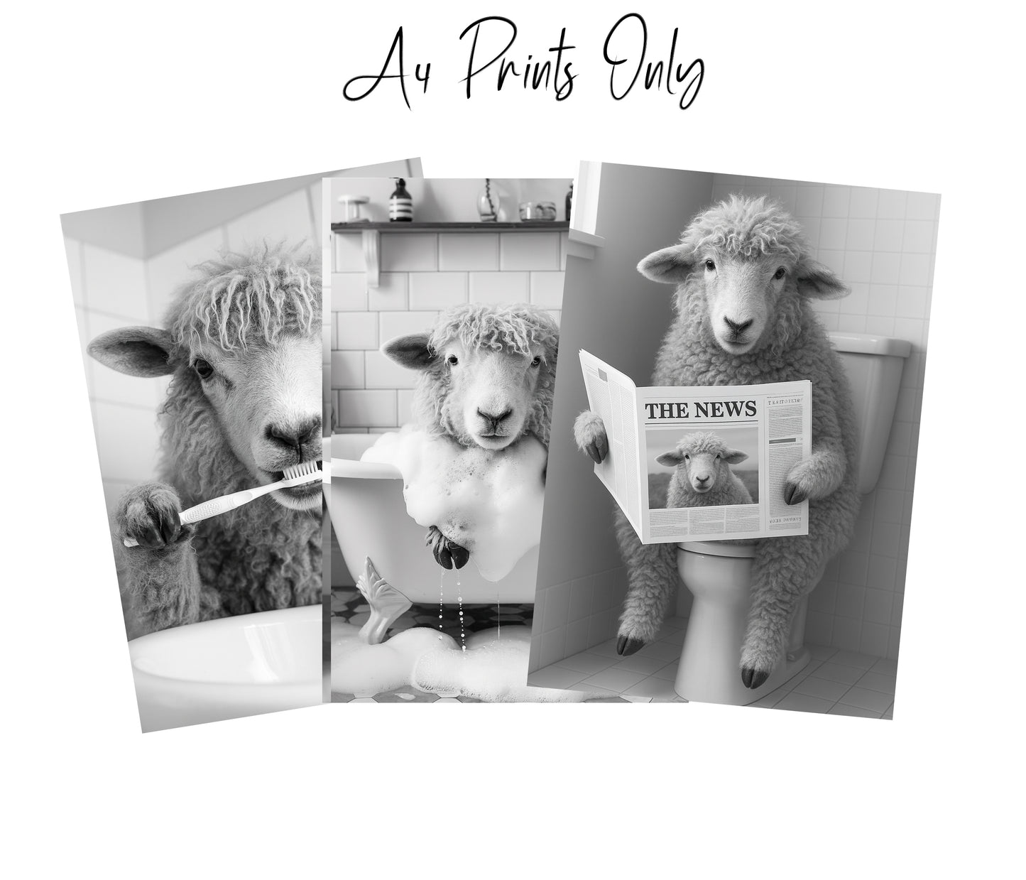 Sheep Bathroom Wall Art Prints – Funny Farmhouse Decor A4 or A3 Set of 3