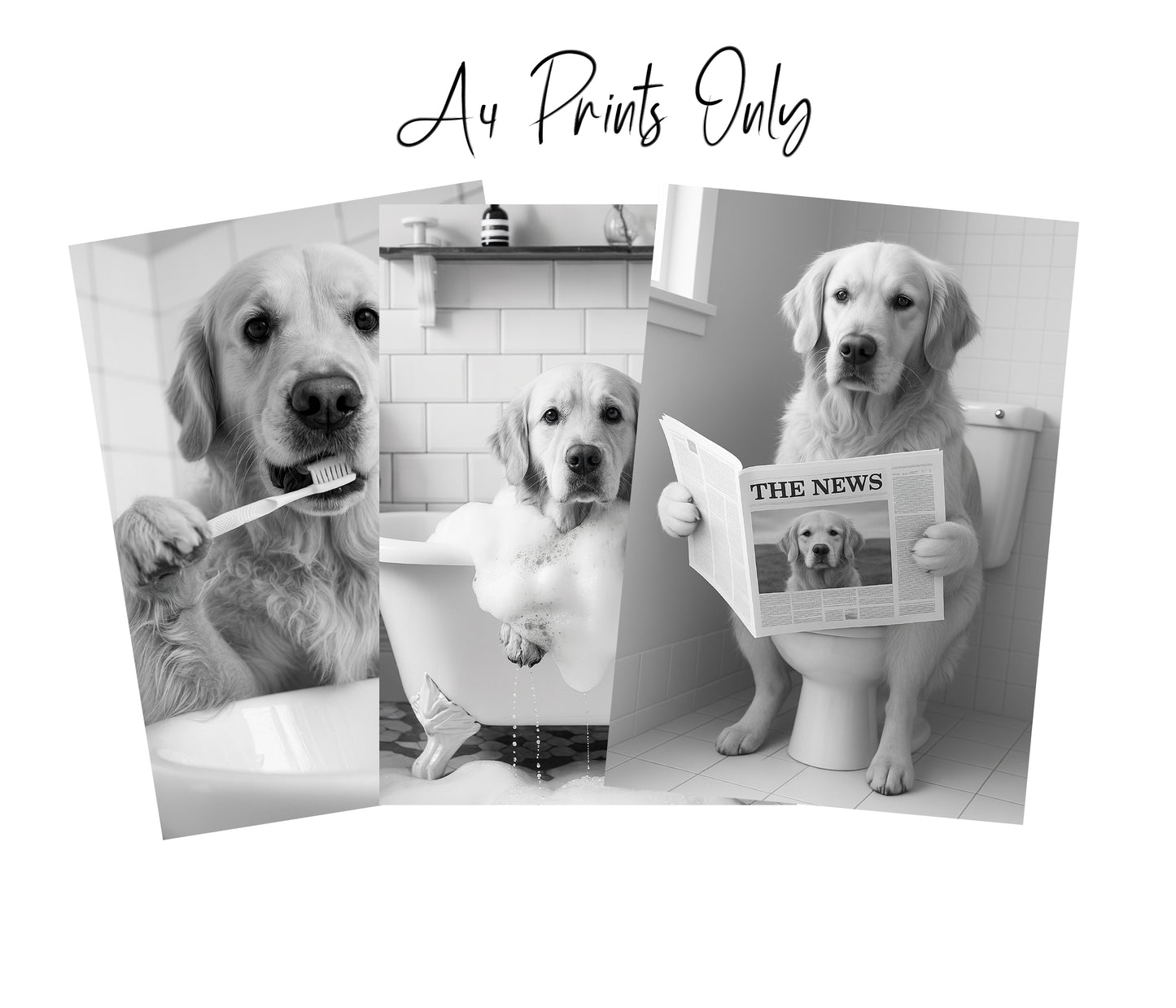 Golden Retriever Bathroom Wall Art Prints – Funny Dog Decor l A4 or A3 l Set of 3