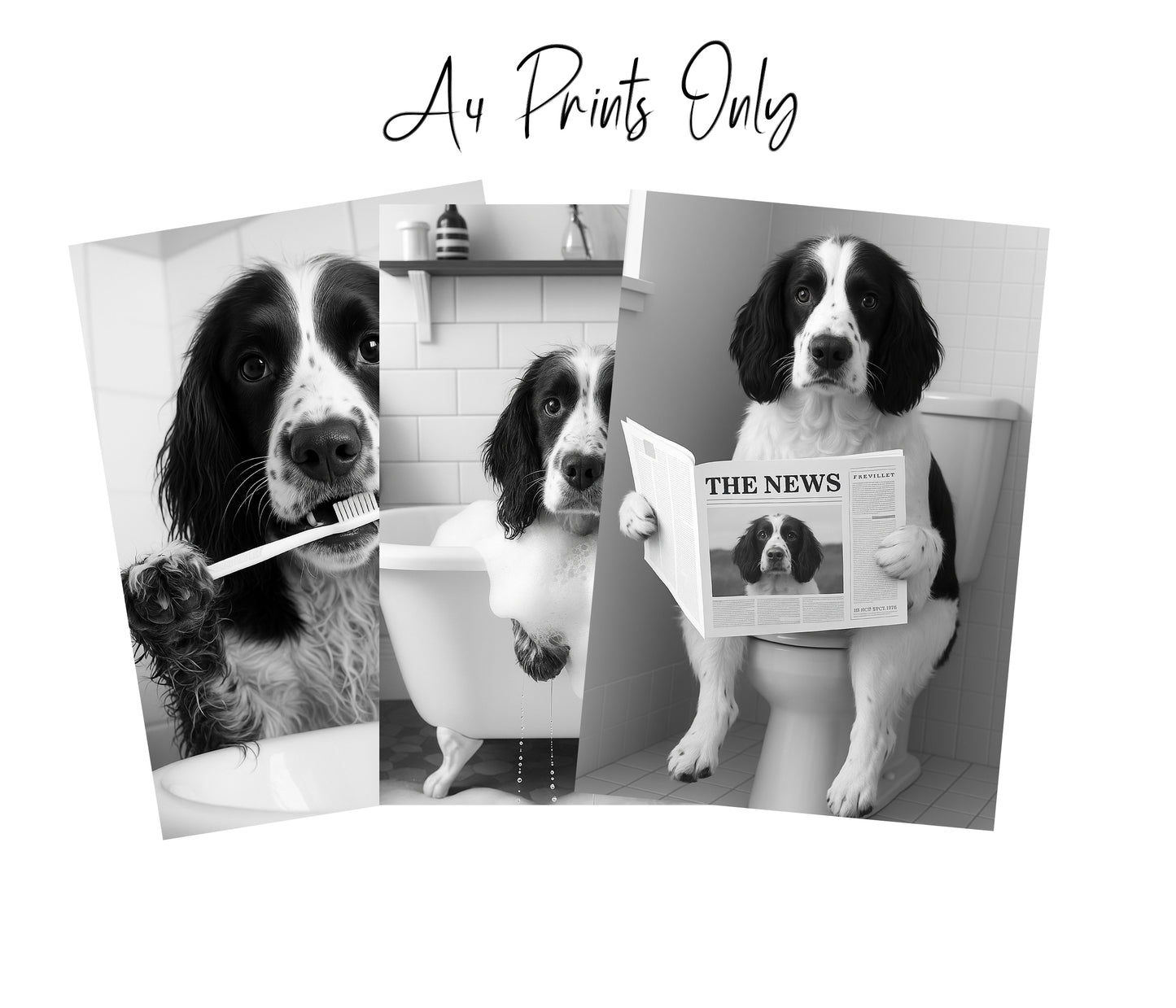 Springer Spaniel Bathroom Wall Art Prints – Funny Dog Decor l A4 or A3 l Set of 3