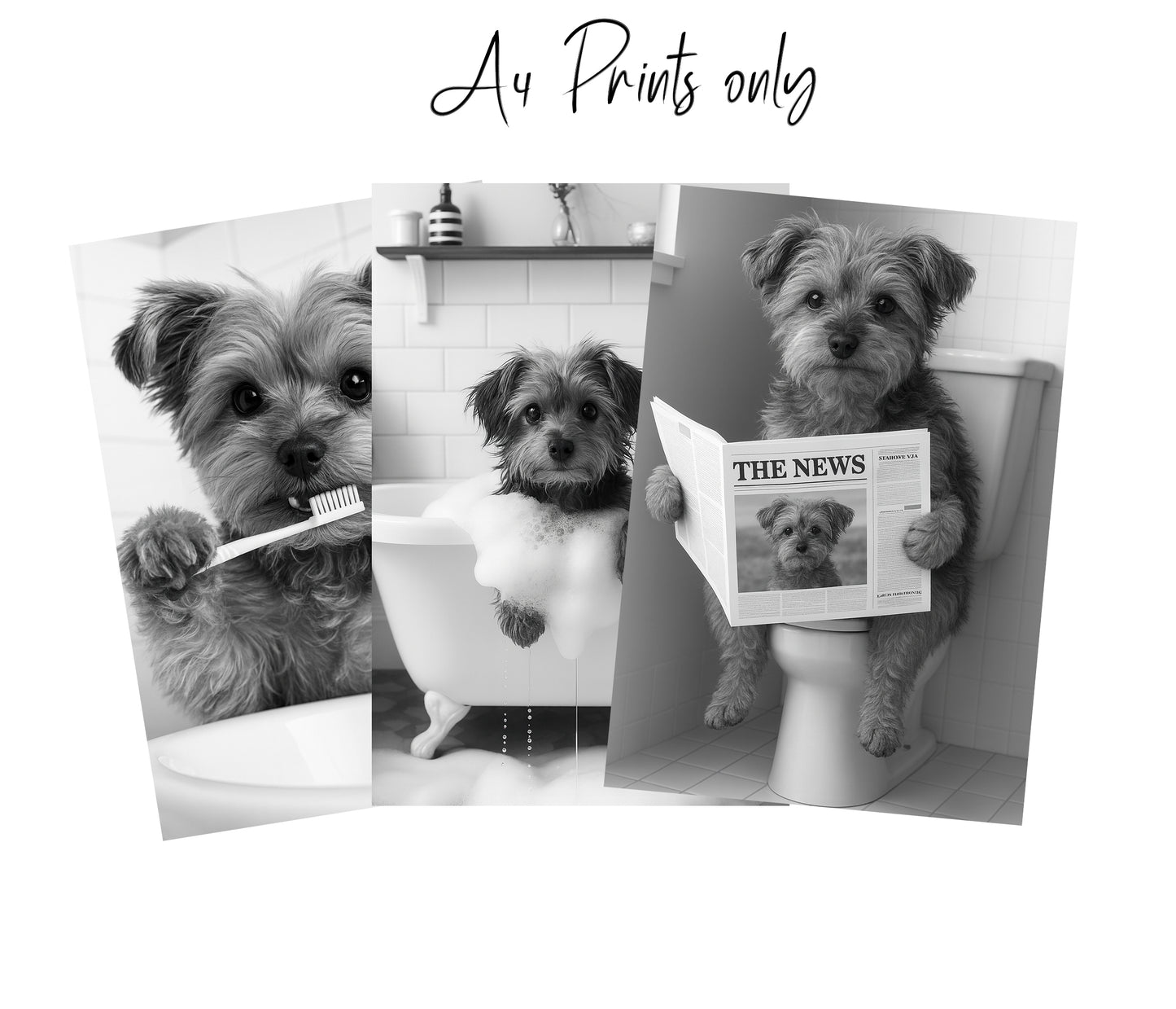 Yorkipoo Bathroom Wall Art Prints – Funny Dog Bathroom Decor (A4 & A3 Sizes)