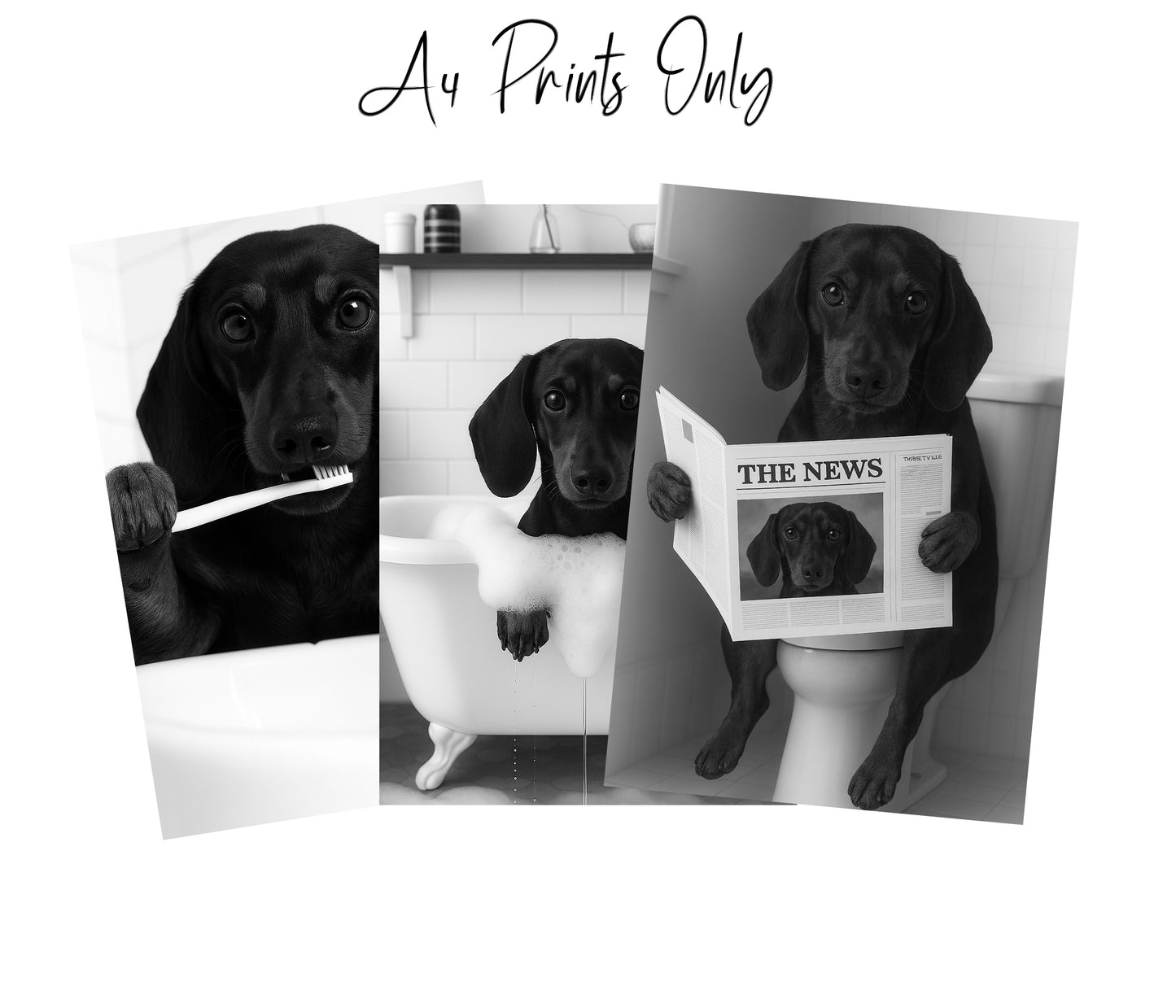 Dachshund Bathroom Themed Wall Art – Funny Dog Prints (A4 & A3)