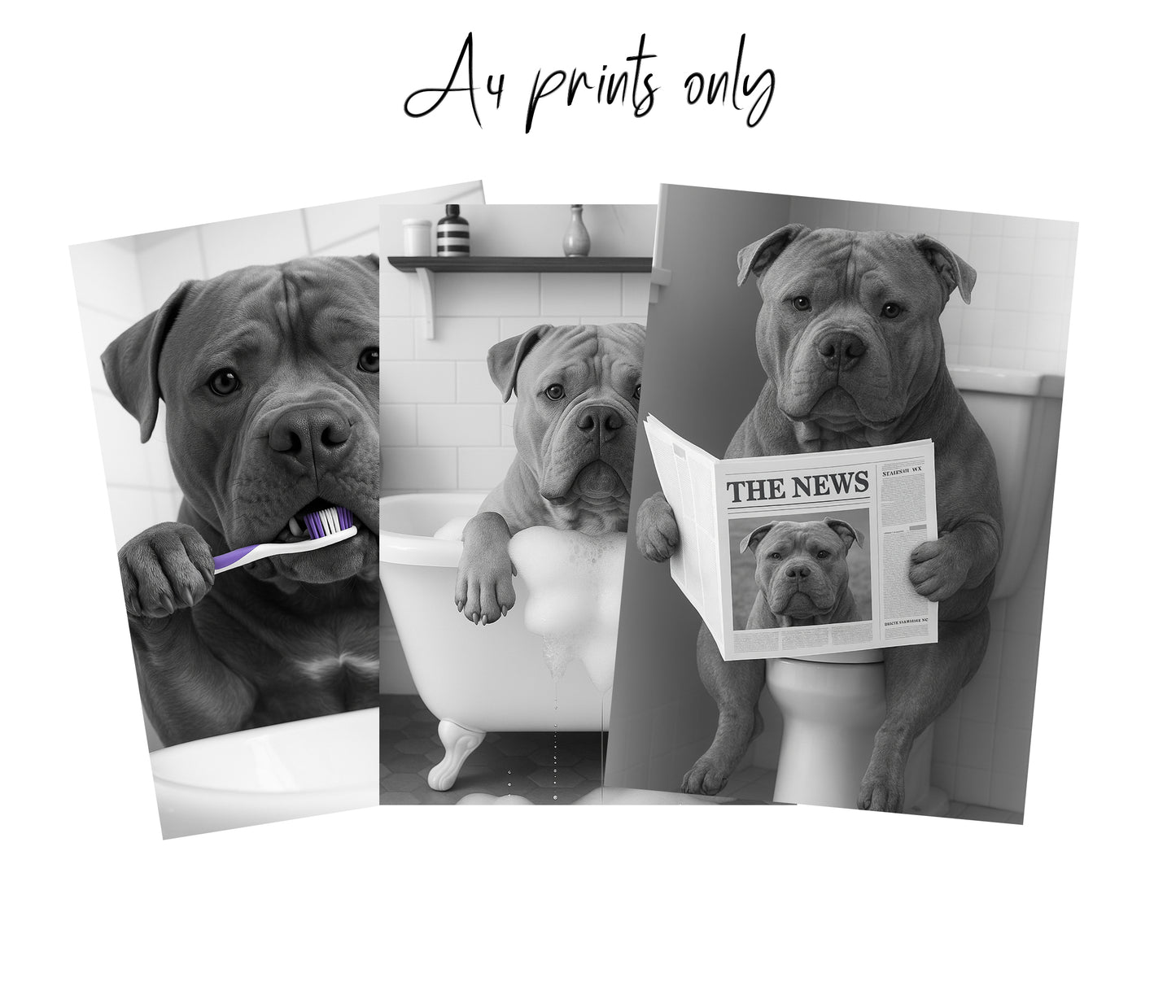 XL Bully Bathroom Wall Art Prints – Funny Dog Bathroom Decor (A4 & A3 Sizes) (Copy)
