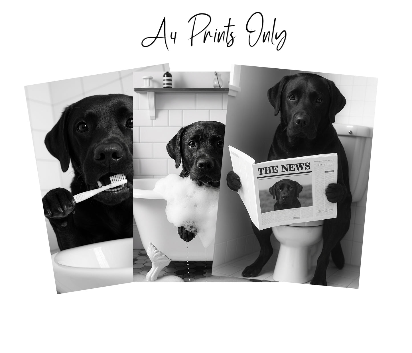 Black Labrador Bathroom Wall Art – Funny Dog Bathroom Decor (Set of 3 Prints)