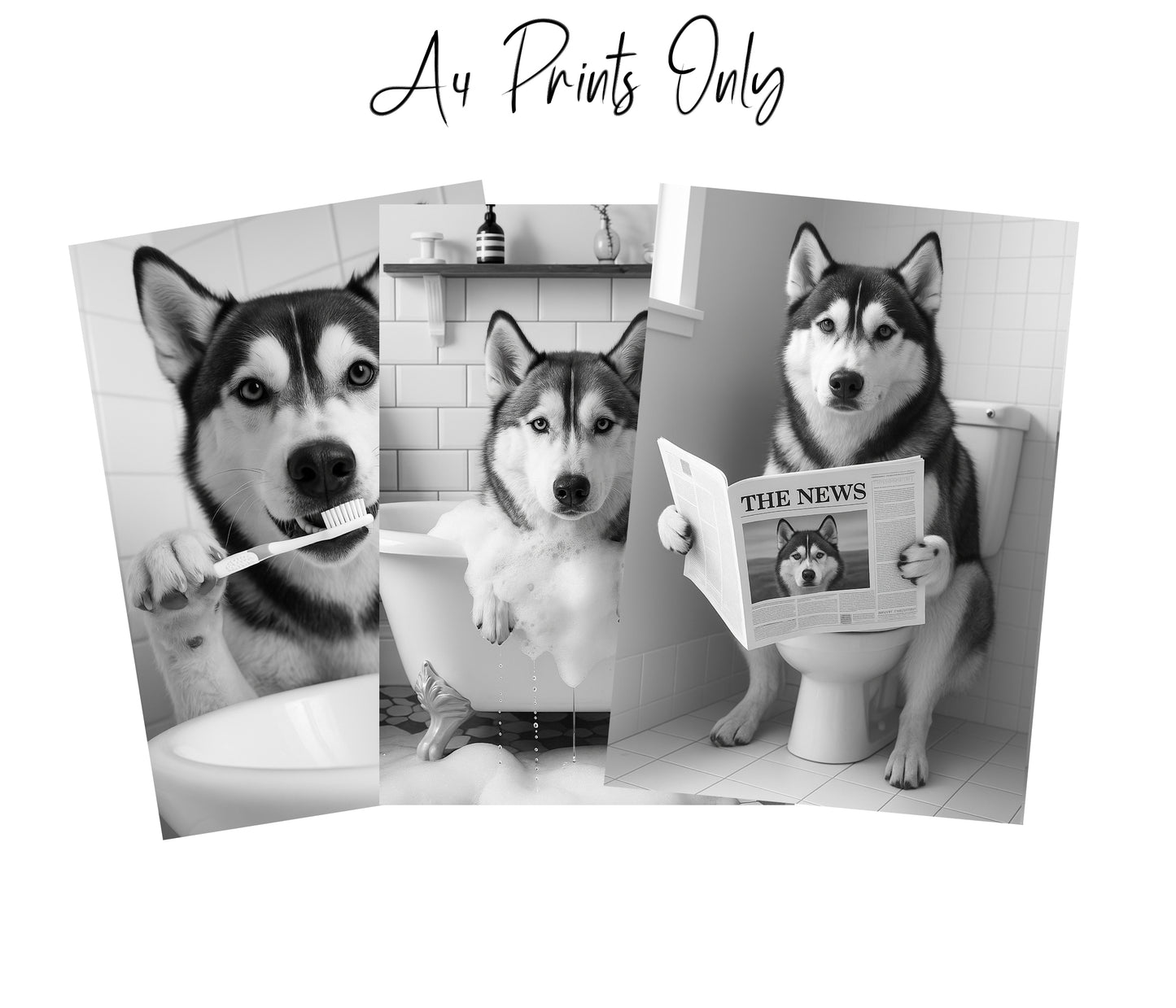 Husky Bathroom Wall Art Prints – Funny Dog Decor l A4 or A3 l Set of 3