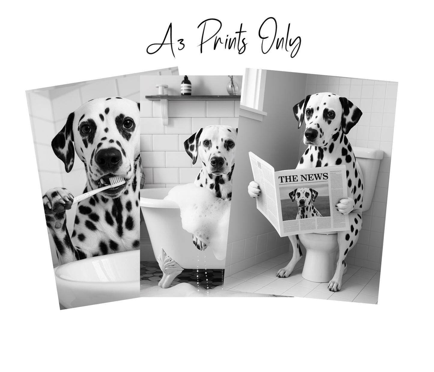 Dalmatian Bathroom Wall Art Prints – Funny Dog Decor l A4 or A3 l Set of 3