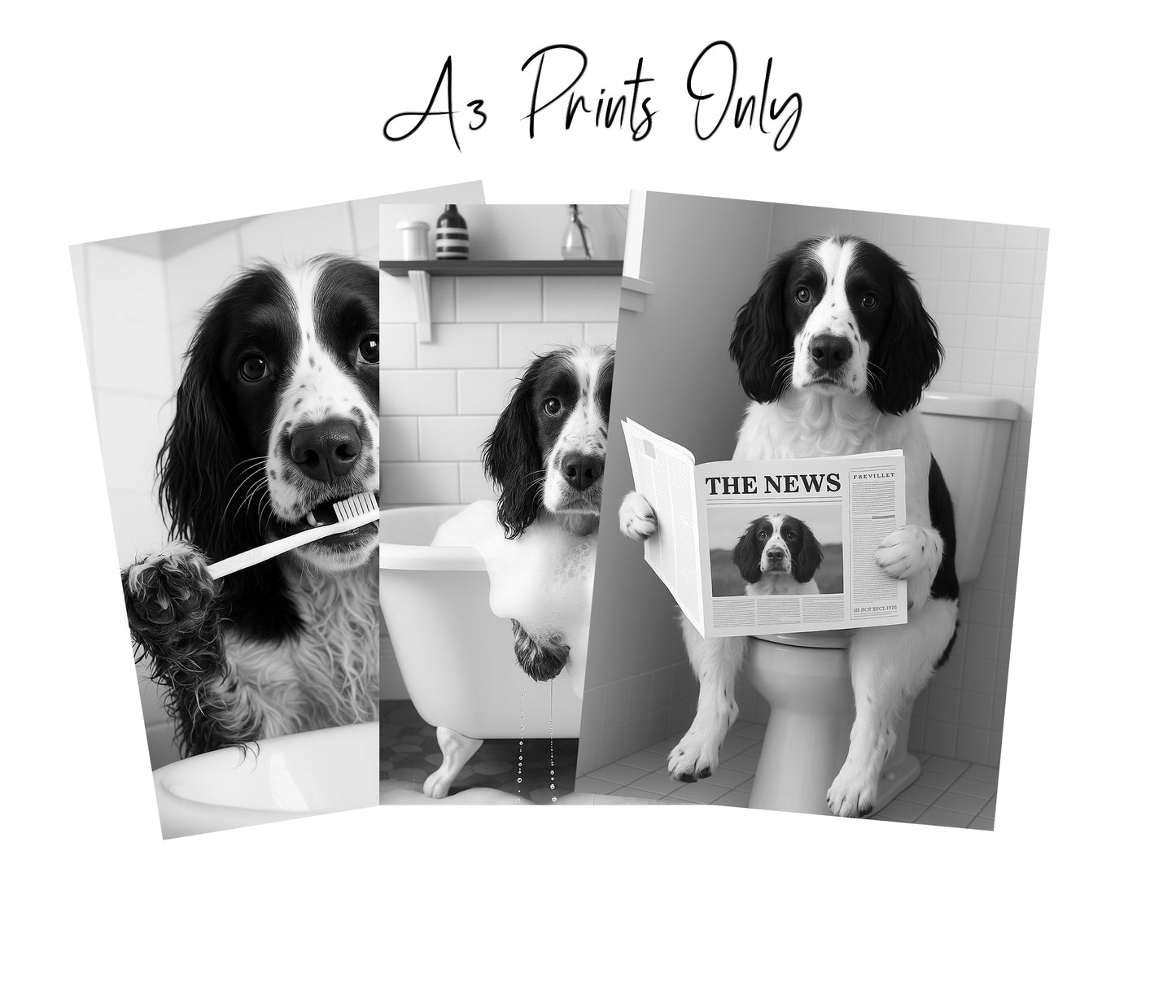 Springer Spaniel Bathroom Wall Art Prints – Funny Dog Decor l A4 or A3 l Set of 3