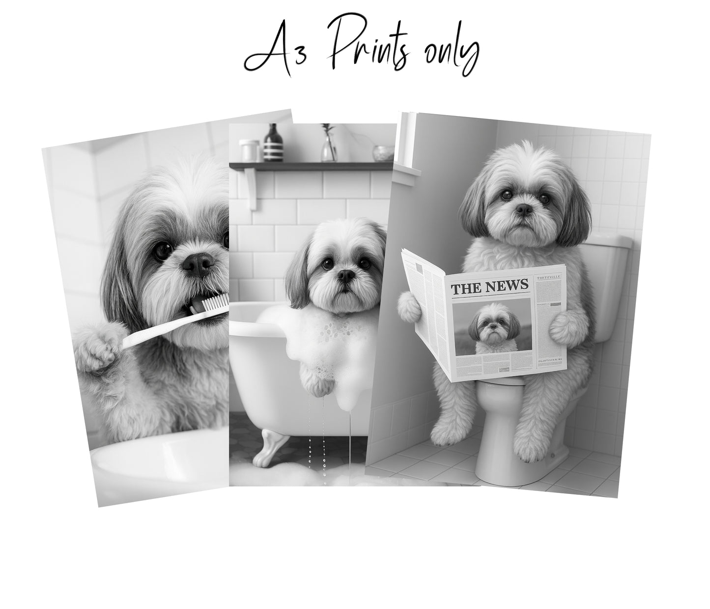 Shihtzu Dog Bathroom Wall Art Prints – Funny Dog Bathroom Decor (A4 & A3 Sizes)