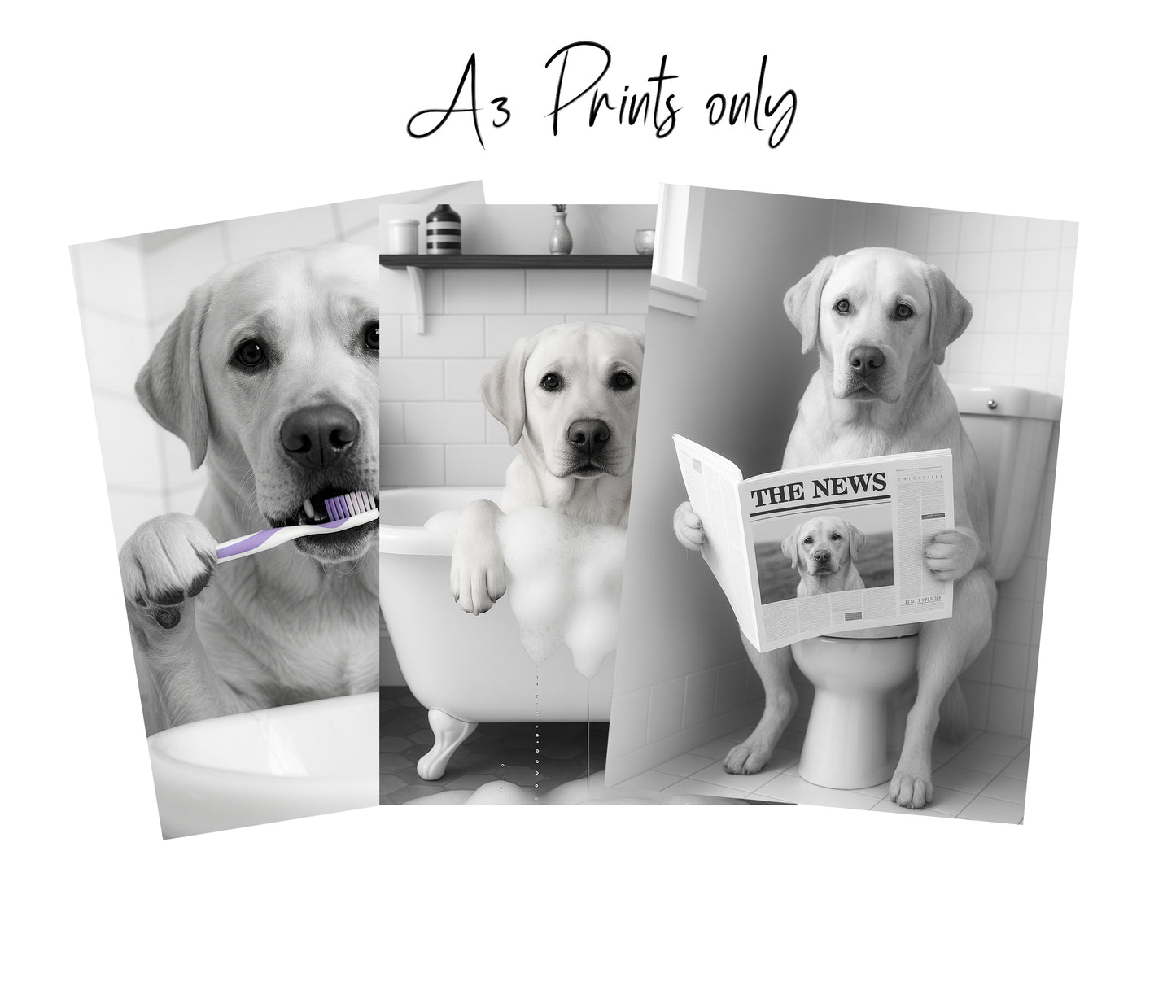 Labrador Bathroom Wall Art Prints – Funny Dog Bathroom Decor (A4 & A3 Sizes)