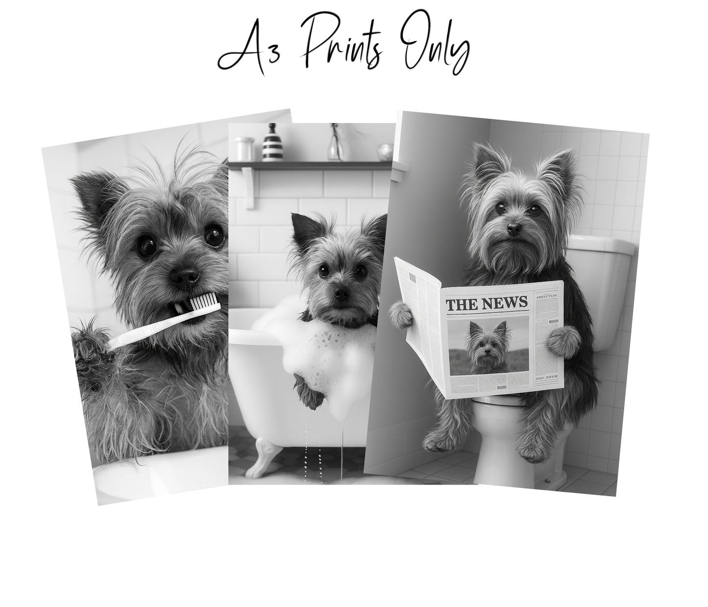 Yorkie Bathroom Wall Art Set – Black & White 3-Piece Print Collection