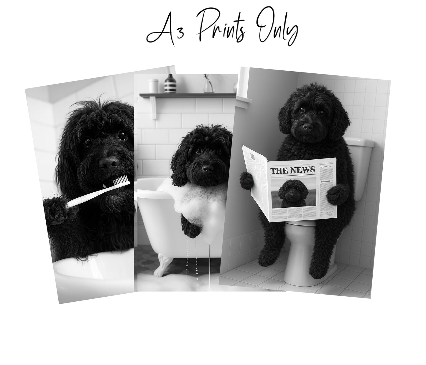 Black Cockapoo Bathroom Prints | Funny Dog Wall Art | A4 & A3 Options