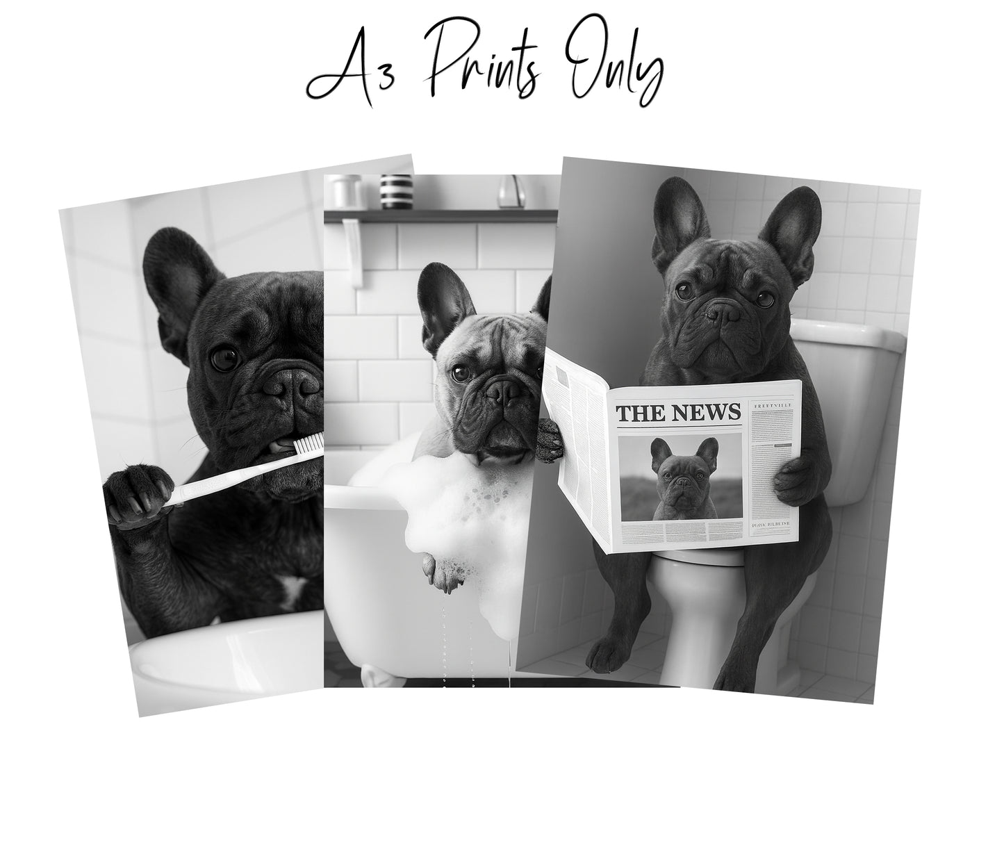 French Bulldog Bathroom Wall Art Prints – Funny Dog Decor l A4 or A3 l Set of 3