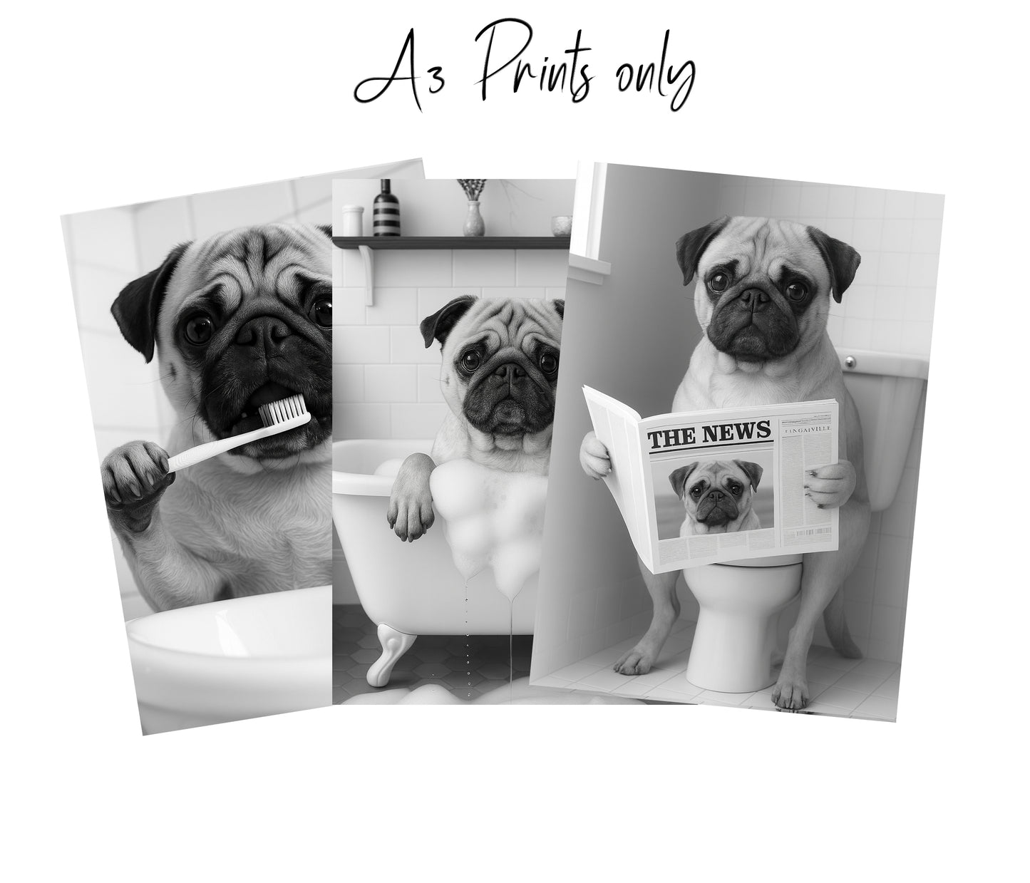 Pug Dog Bathroom Wall Art Prints – Funny Dog Bathroom Decor (A4 & A3 Sizes)