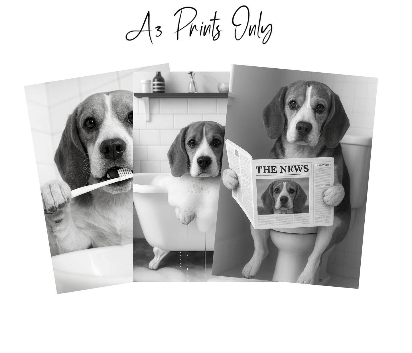 Beagle Bathroom Wall Art Set | Funny Dog Prints (A4 & A3 Options)