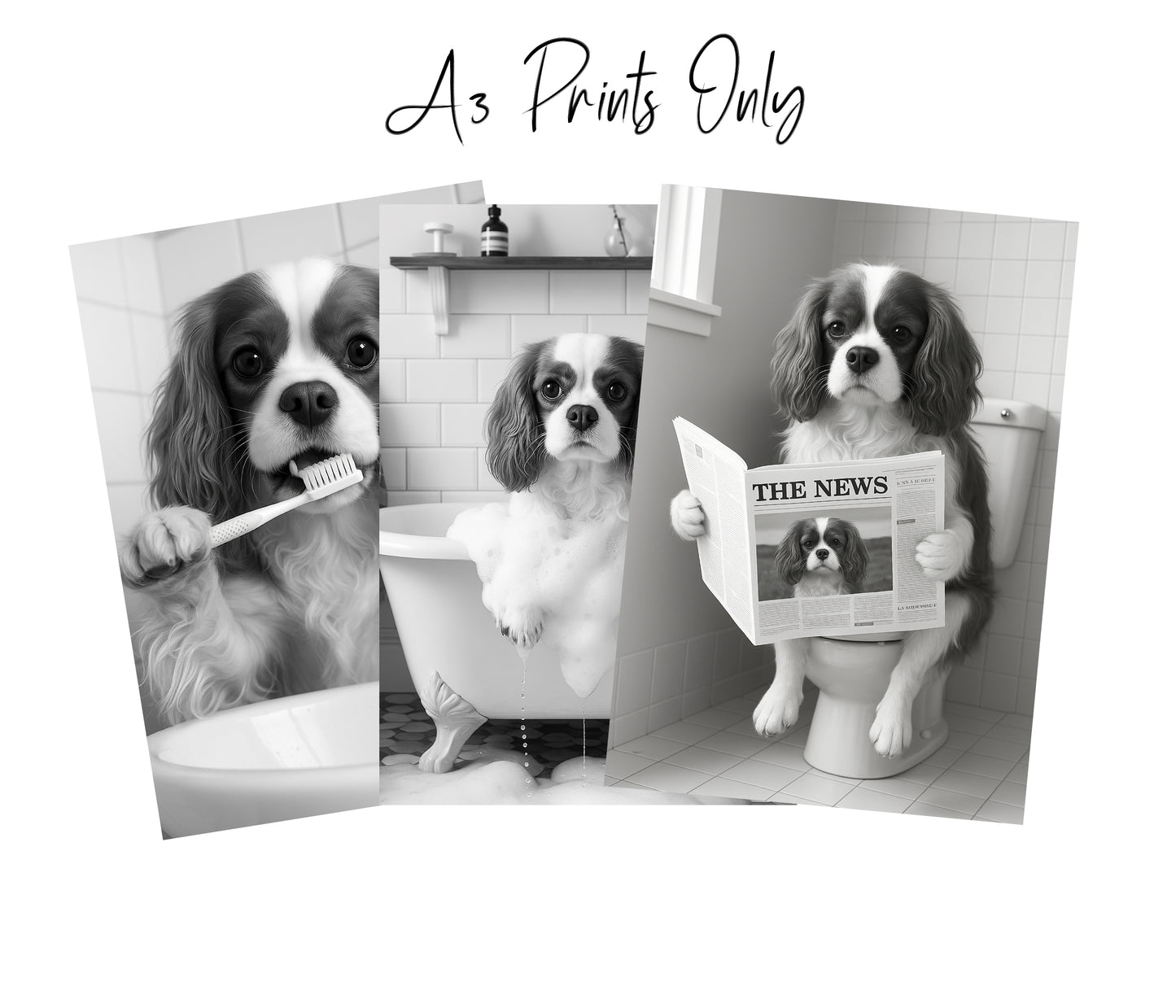 Cavalier King Charles Bathroom Wall Art Prints – Funny Dog Decor l A4 or A3 l Set of 3