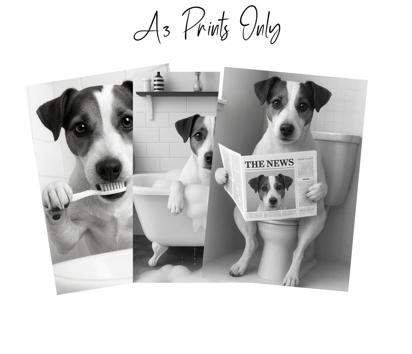 Jack Russell Bathroom Wall Art Prints – Funny Dog Decor l A4 or A3 l Set of 3