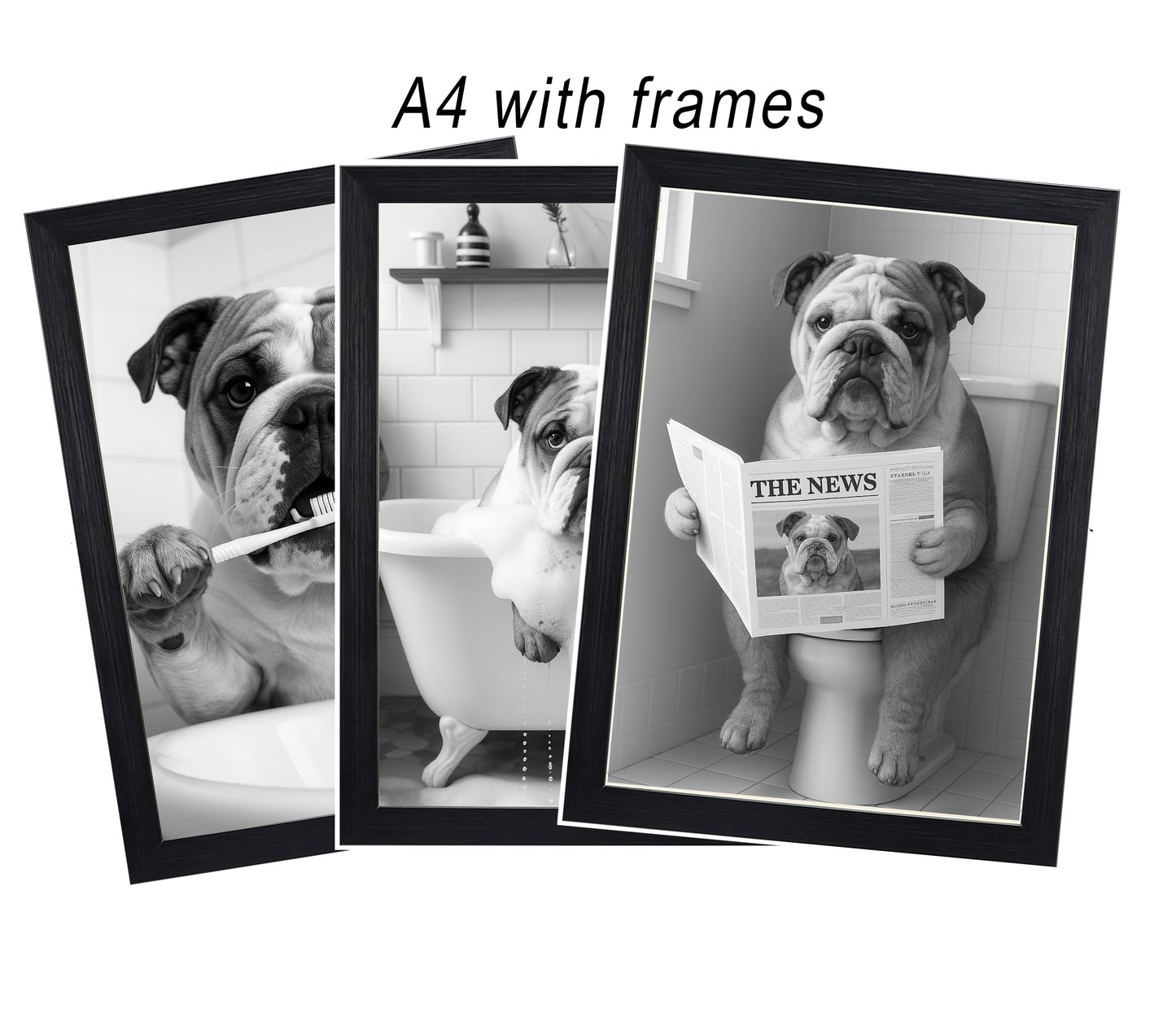 English Bulldog Bathroom Wall Art Prints – Funny Dog Bathroom Decor (A4 & A3 Sizes)