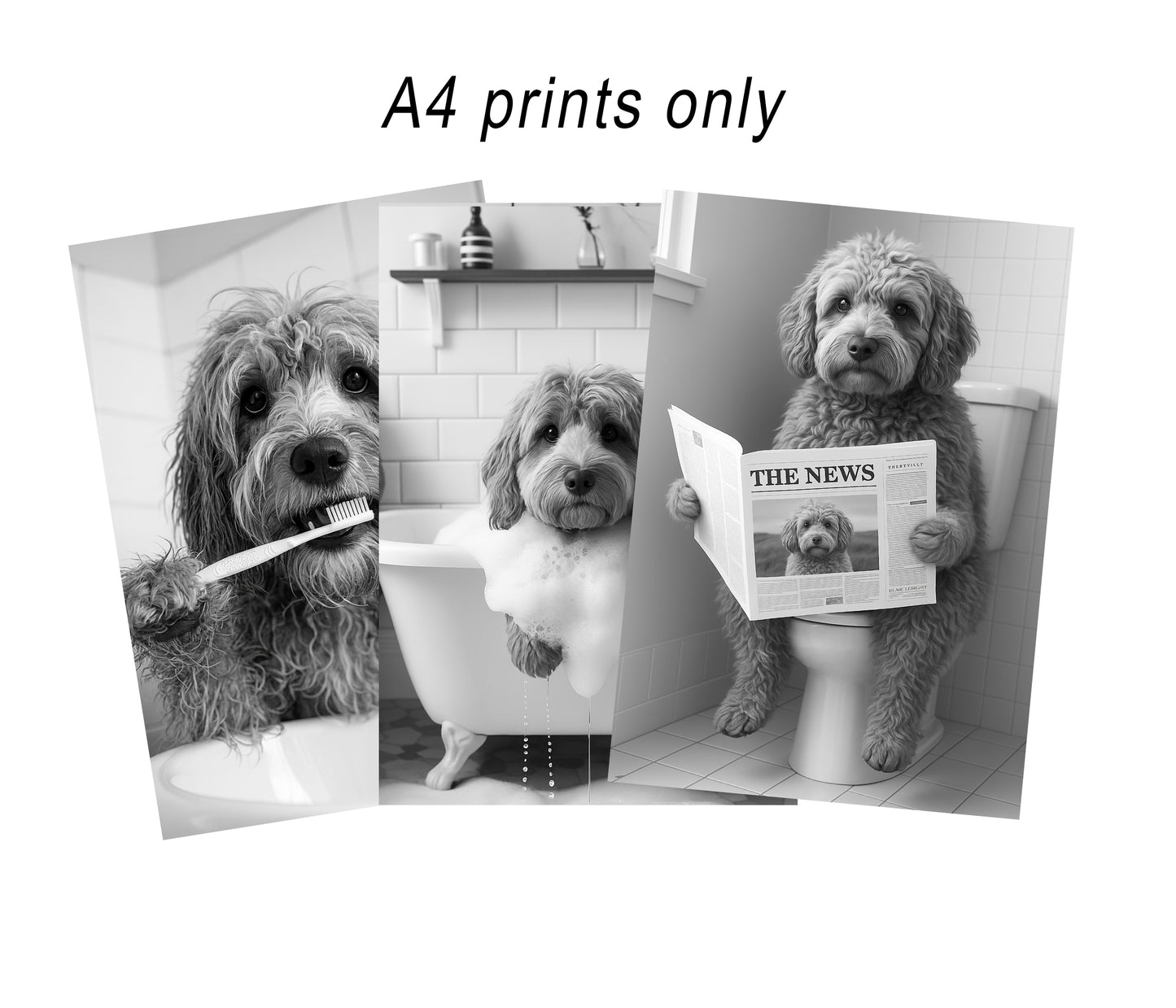 Cockapoo Bully Bathroom Wall Art Prints – Funny Dog Bathroom Decor (A4 & A3 Sizes)