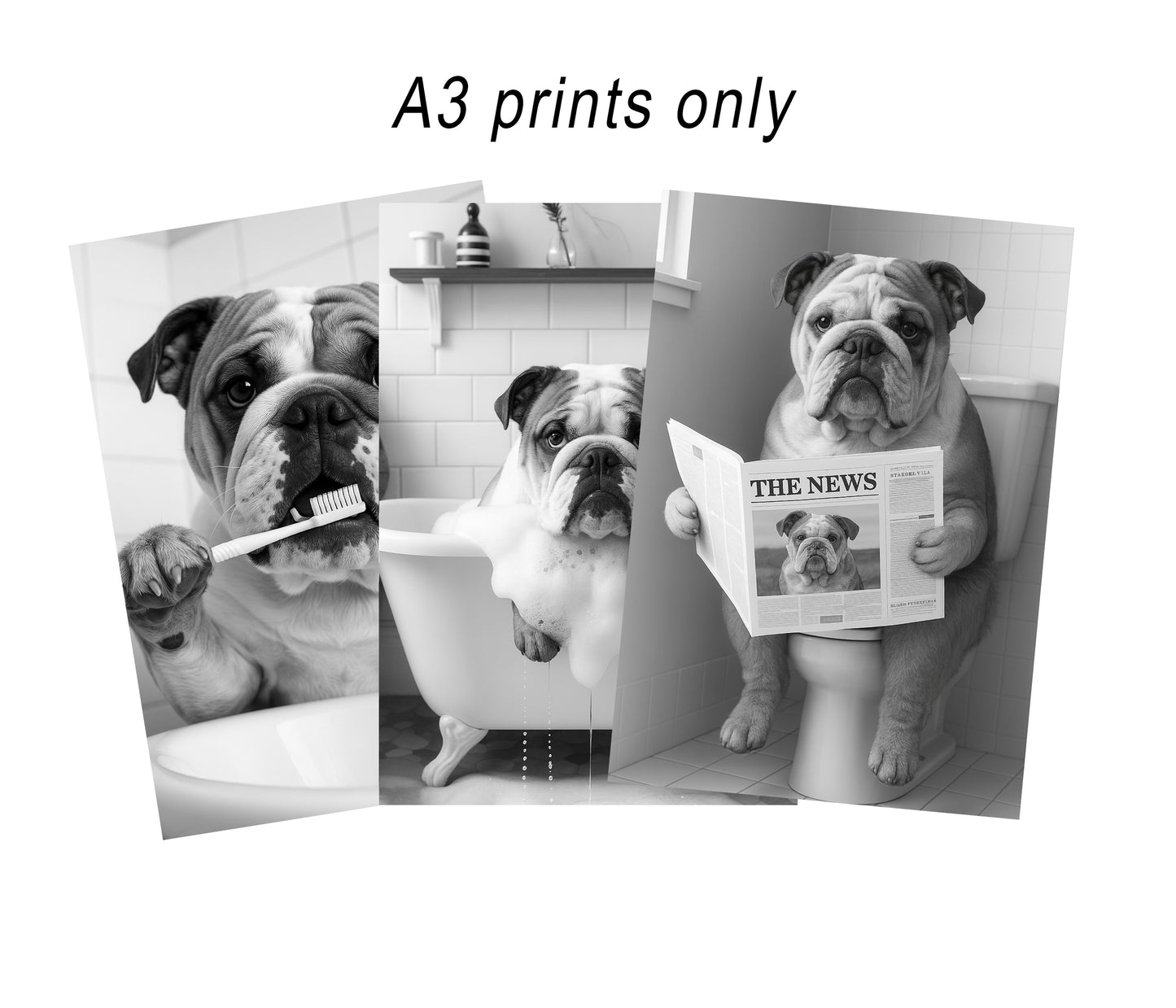 English Bulldog Bathroom Wall Art Prints – Funny Dog Bathroom Decor (A4 & A3 Sizes)