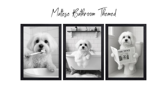 Maltese Bathroom Wall Art Prints – Funny Dog Decor l A4 or A3 l Set of 3