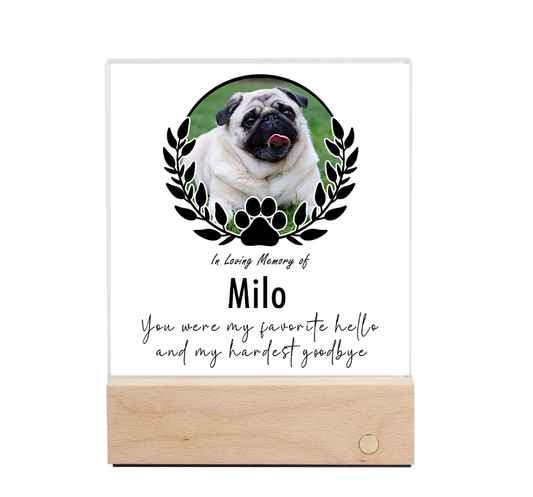 Dog - Memorial LED Night Light - Personalise with photo