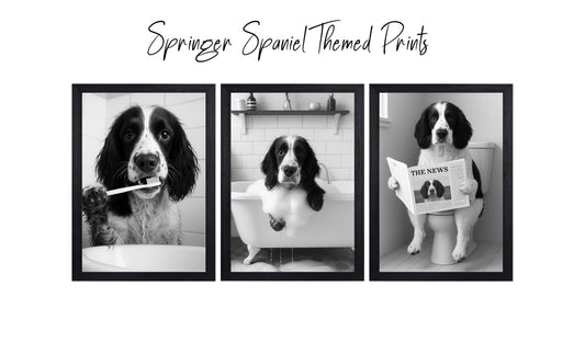 Springer Spaniel Bathroom Wall Art Prints – Funny Dog Decor l A4 or A3 l Set of 3