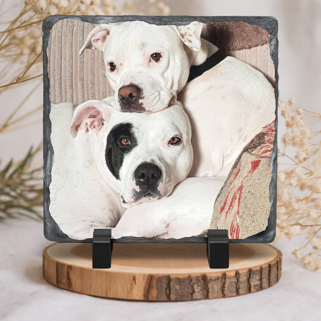 Personalised 20x20cm Gloss Rock Slate Photo – Custom Square Stone Picture Gift for Pets, Couples & Family