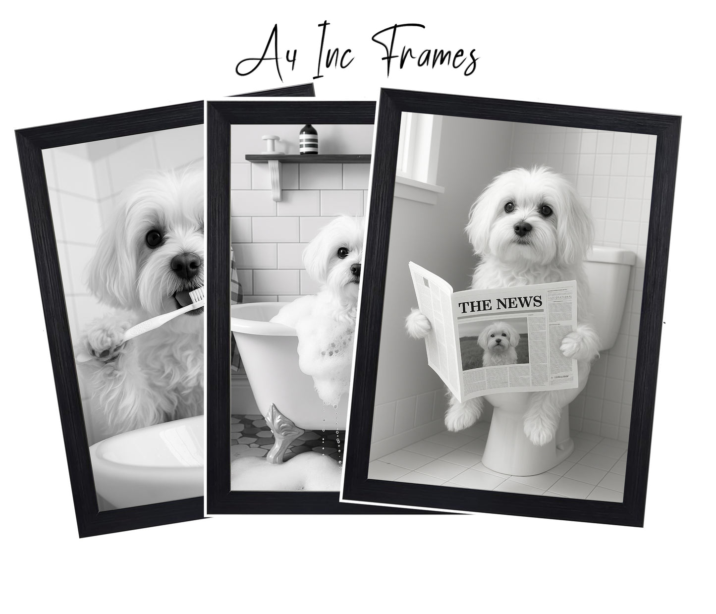 Maltese Bathroom Wall Art Prints – Funny Dog Decor l A4 or A3 l Set of 3
