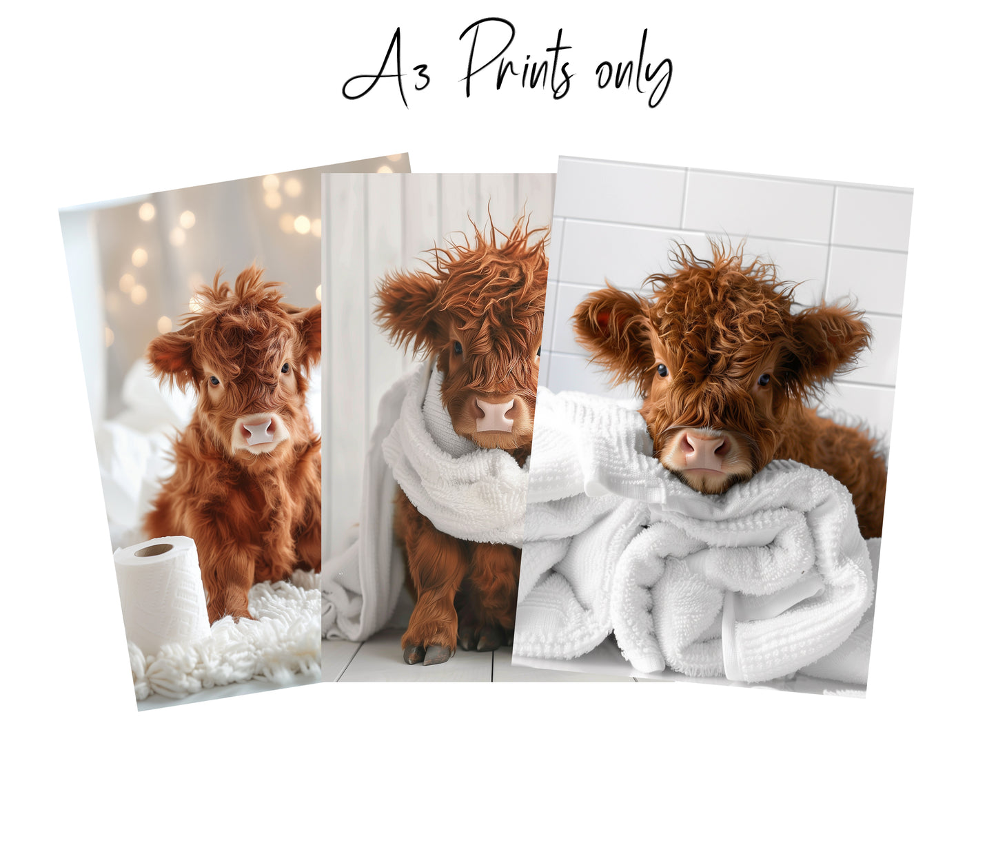 Highland Cow Bathroom Wall Art Print | Cute Farm Animal Decor | A4 & A3 Print With or Without Frame