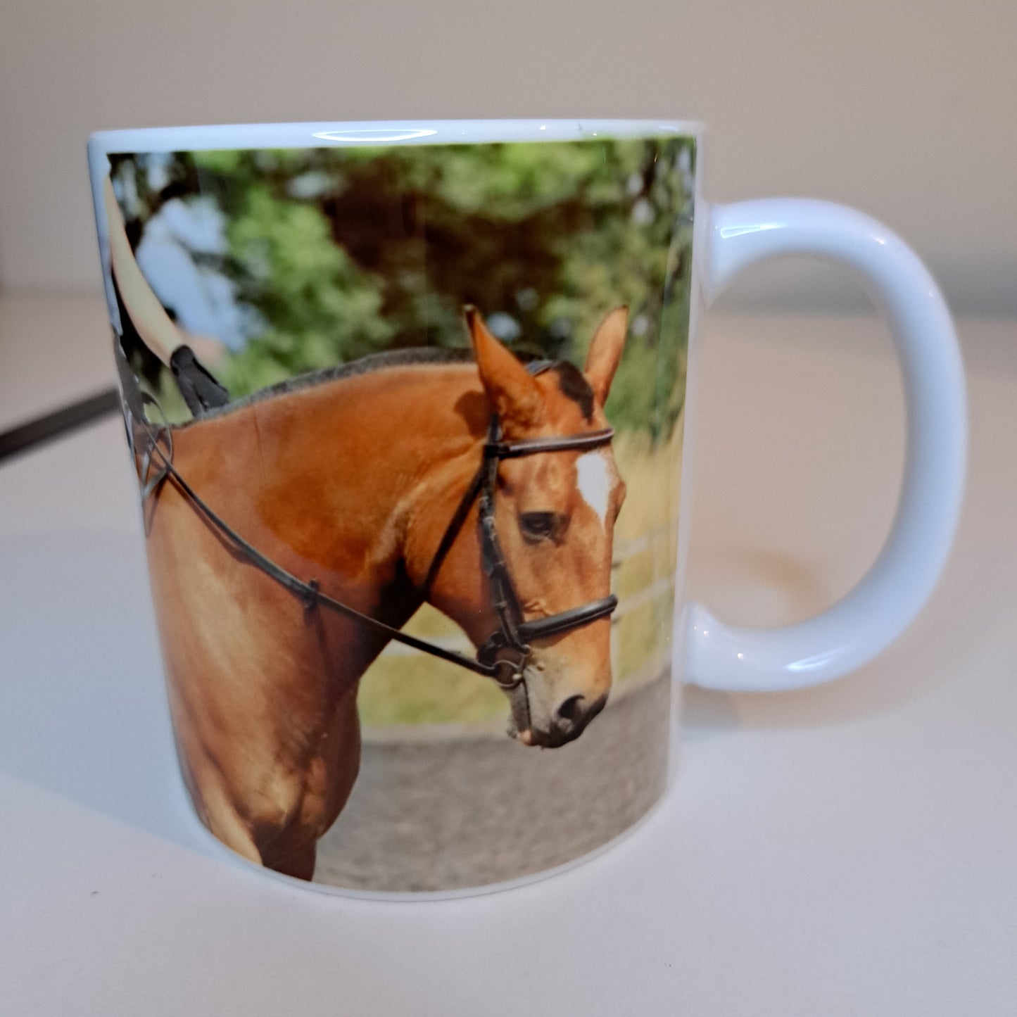 Personlized Mirror Image Photo Mug